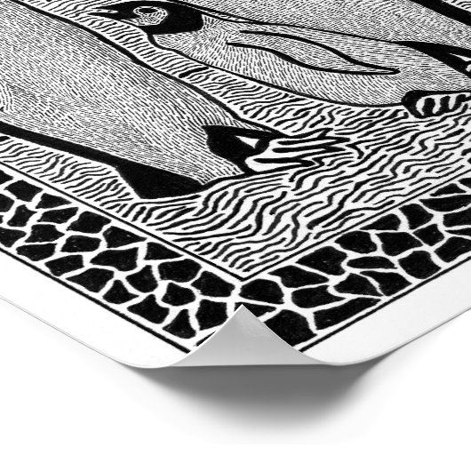 Poster pinguïns (Hoek)