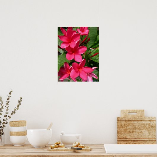 poster - pink plumerias (Keuken)