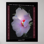 Poster plannen (Voorkant)