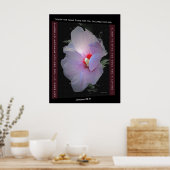 Poster plannen (Keuken)