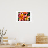 Poster-Plumeria Flowers Poster (Keuken)