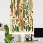 Poster Plumes (Thuiskantoor)