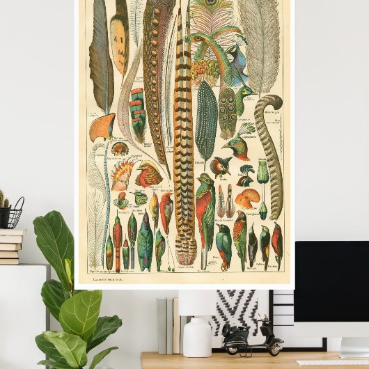  Poster Plumes (Thuiskantoor)