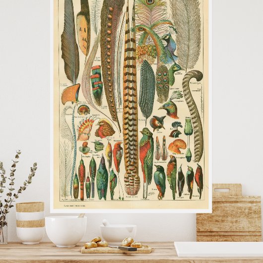  Poster Plumes (Keuken)