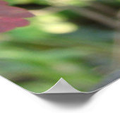 Poster Poison Oak (Hoek)