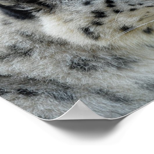 Poster-Polar Beer-Husky-Snow Leopard Poster (Hoek)