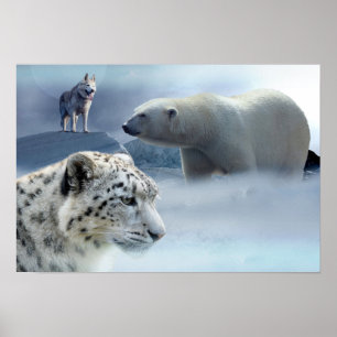 Poster-Polar Beer-Husky-Snow Leopard Poster