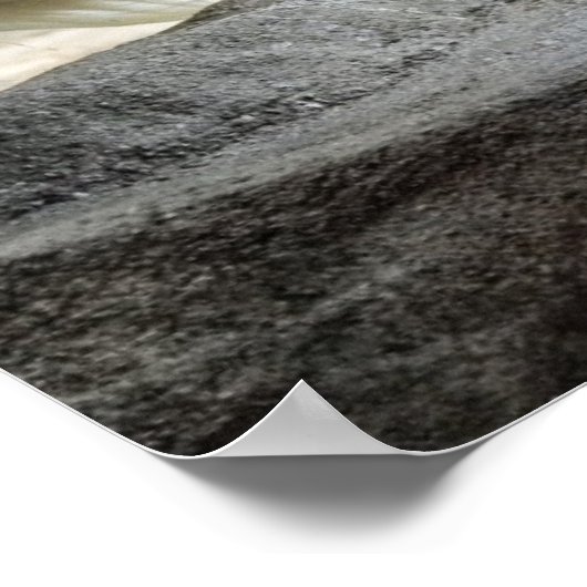 Poster polarBeer (Hoek)