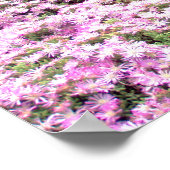 Poster | Pommeren Roze Bloemen 2 (Hoek)