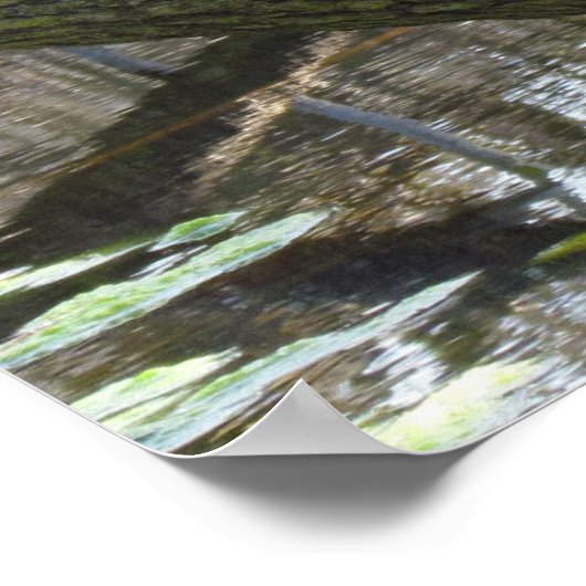 Poster - Pond Turtles (Hoek)