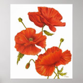 Poster - Poppies on White (Voorkant)