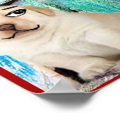 - POSTER POSTER (Hoek)