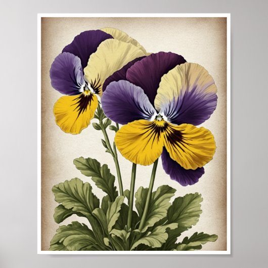 Poster Prachtige Pansy Flower Wanddecoratie Wandku (Voorkant)