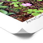 poster "Pray for the Peace of Jeruzalem" (Hoek)