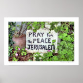 poster "Pray for the Peace of Jeruzalem" (Voorkant)