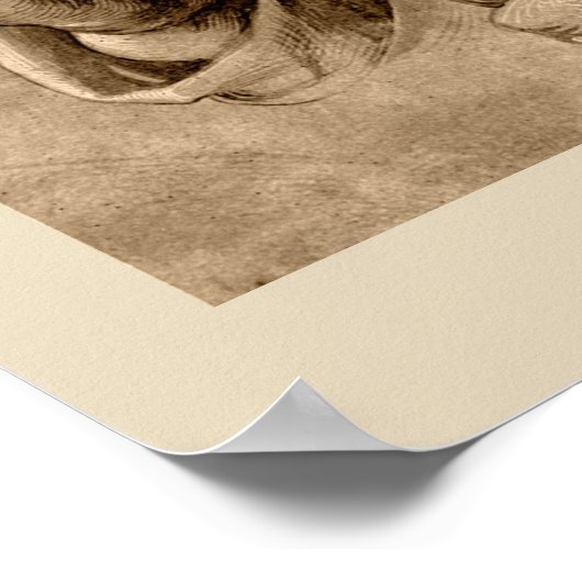 Poster Praying Hands (Hoek)