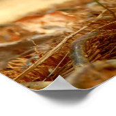 Poster Praying Mantis (Hoek)