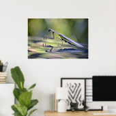 Poster Praying Mantis (Thuiskantoor)