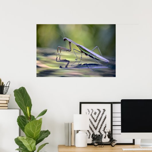 Poster Praying Mantis (Thuiskantoor)