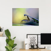 Poster Praying Mantis (Thuiskantoor)