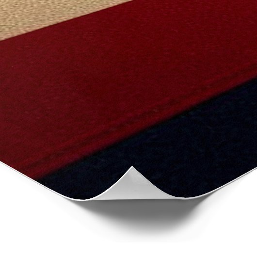 Poster presidentsverkiezingen HARRIS WALZ 2024 (Hoek)