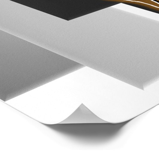 poster print capoeira vechtsport (Hoek)