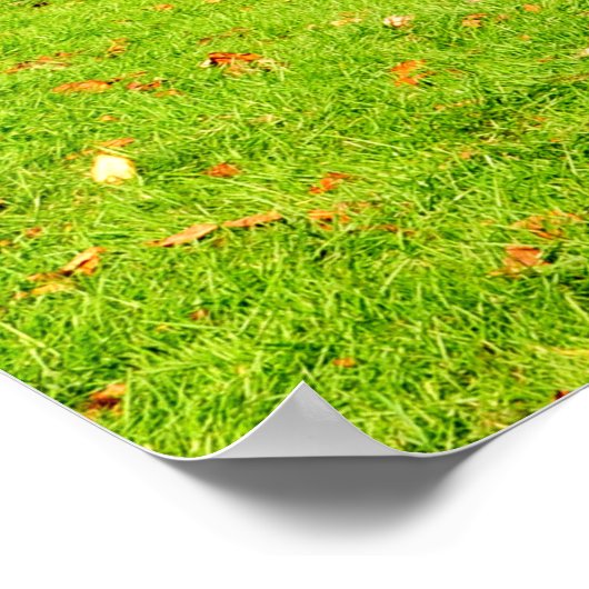 Poster print van Mabry Mill in Meadows of Dan, VA (Hoek)