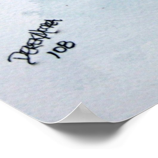 poster - prints voor schilderkunst van fretten (Hoek)