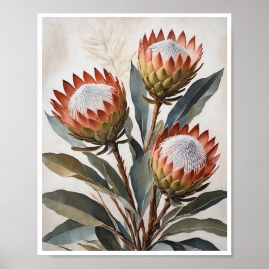 Poster Protea Flowers Schilderen Wall Art Room Dec (Voorkant)