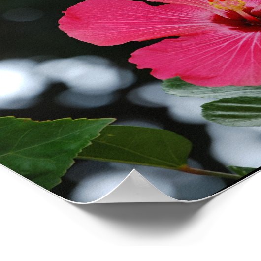 Poster Puerto Rico (Hoek)