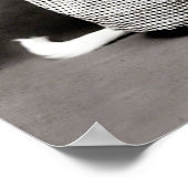 Poster Puppy en Kitten (Hoek)