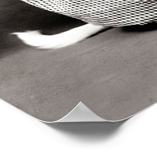 Poster Puppy en Kitten (Hoek)