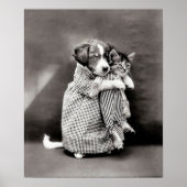 Poster Puppy en Kitten (Voorkant)