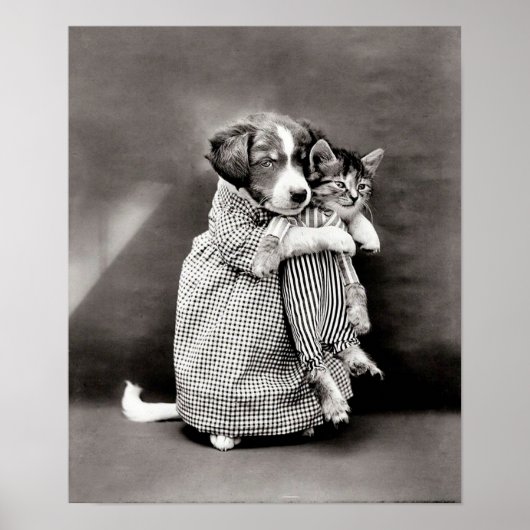 Poster Puppy en Kitten (Voorkant)