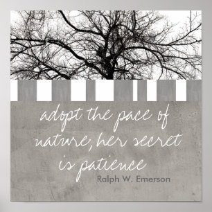 poster Ralph W Emerson citeert natuur foto kunst