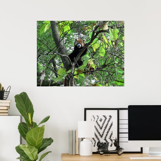 Poster Red Panda (Thuiskantoor)