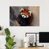 Poster Red Panda (Thuiskantoor)