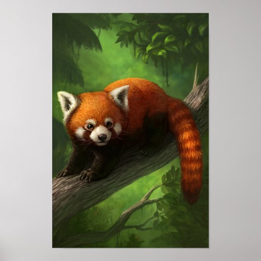 Poster Red Panda (Voorkant)