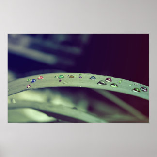 Poster regenboogdruppels / omhuld afdrukken