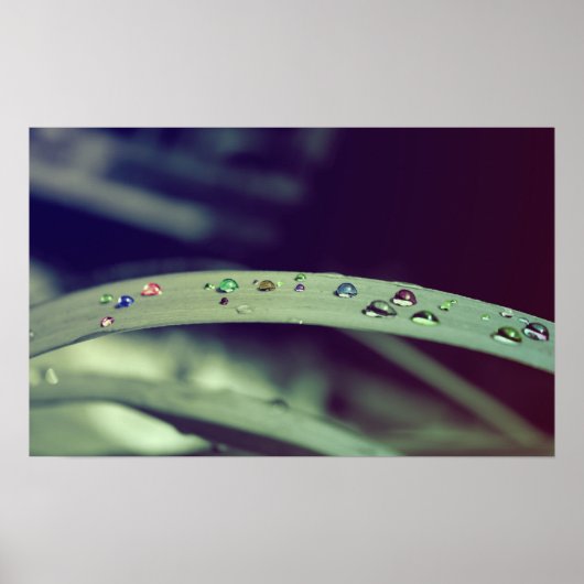 Poster regenboogdruppels / omhuld afdrukken (Voorkant)