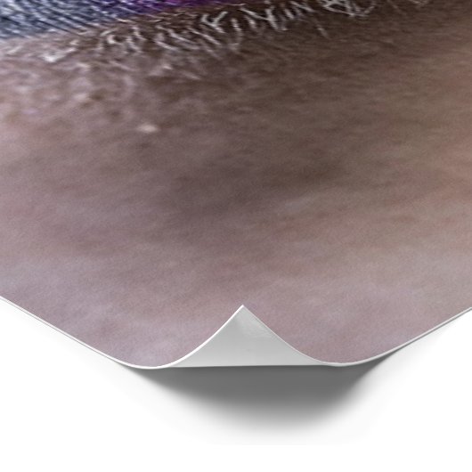 Poster regenboogliften (Hoek)