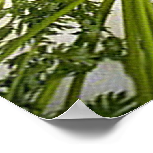 Poster regenboogverkleurde wortelrechthoek (Hoek)