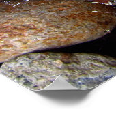 Poster - regendruppels op spderweb boven rivierges (Hoek)