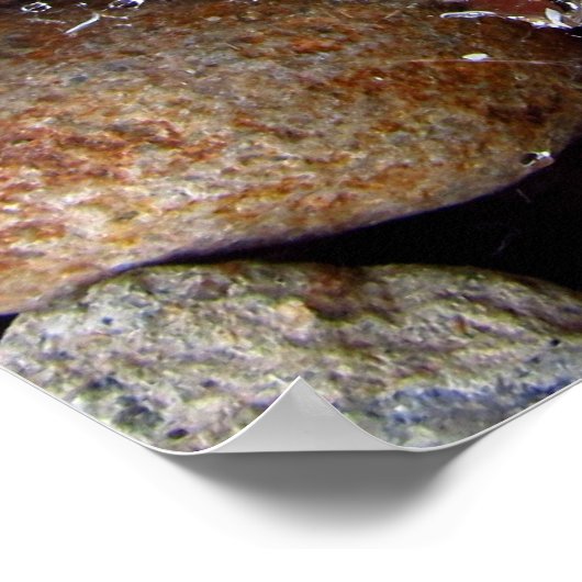 Poster - regendruppels op spderweb boven rivierges (Hoek)