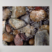 Poster - regendruppels op spderweb boven rivierges (Voorkant)