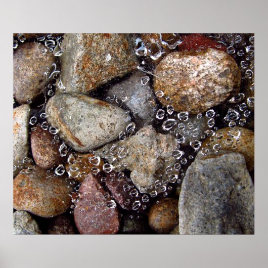 Poster - regendruppels op spderweb boven rivierges (Voorkant)