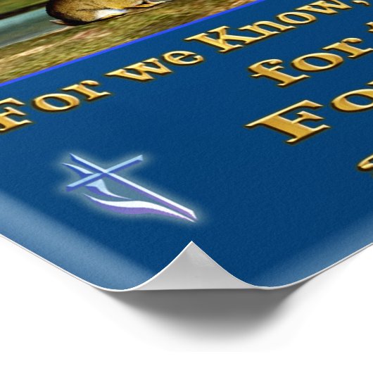 Poster Revelations scripting (Hoek)