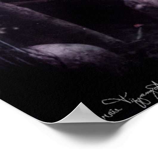 poster "Reverie" (Hoek)