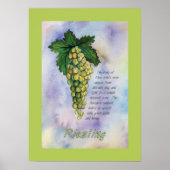 Poster Riesling Wine Grapes (Voorkant)