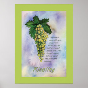 Poster Riesling Wine Grapes